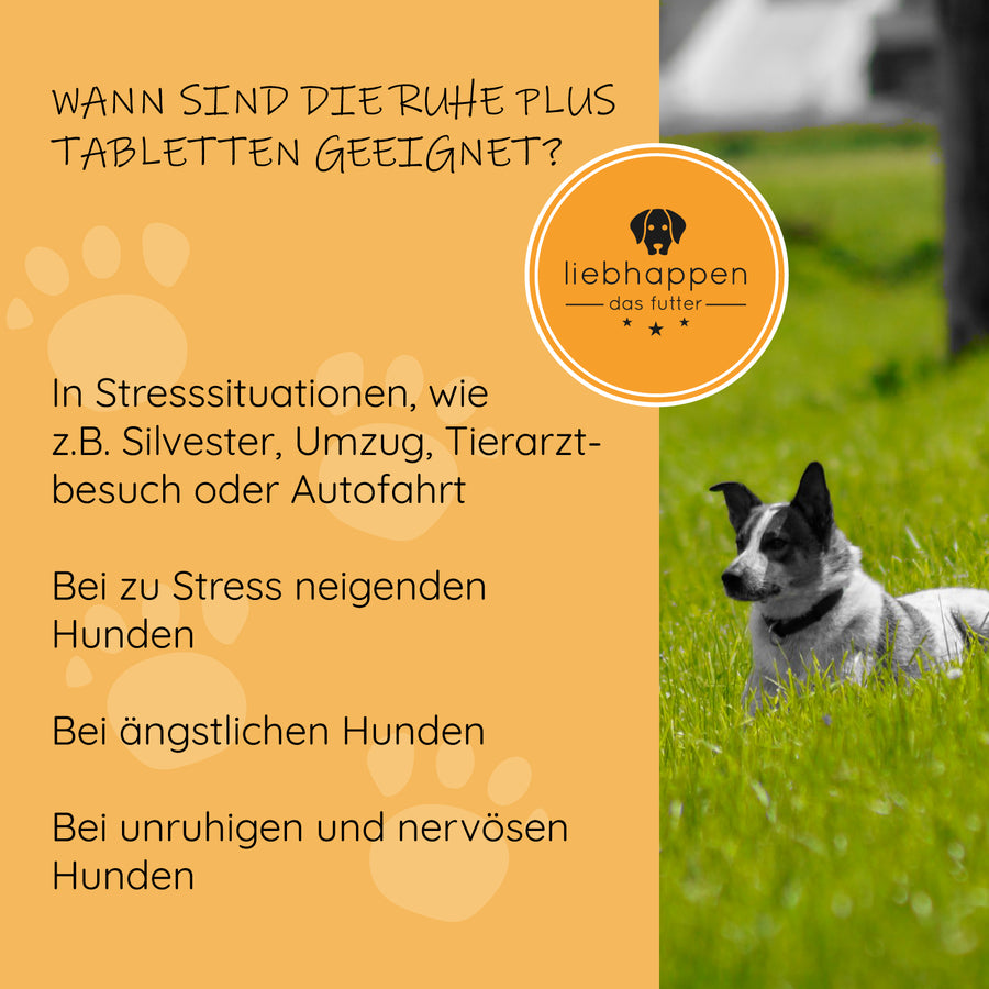 Ruhe Plus - Beruhigungsmittel für Hunde bei Stress und Nervosität 100 Tabletten (150g)